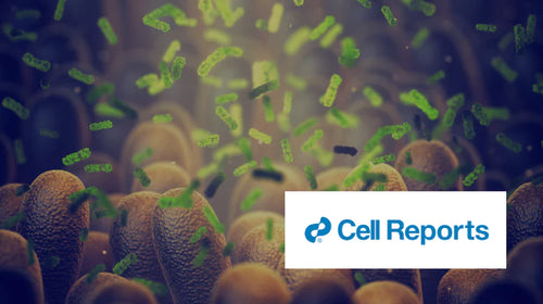 Dieta que imita o jejum modula a microbiota e promove a regeneração intestinal para reduzir a patologia da doença inflamatória intestinal